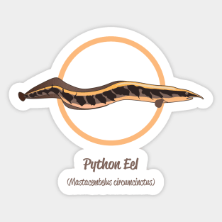 Python Eel Sticker